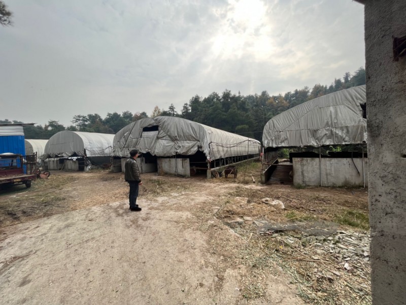 洞口县花园镇开展安全检查，筑牢生产“防护墙”