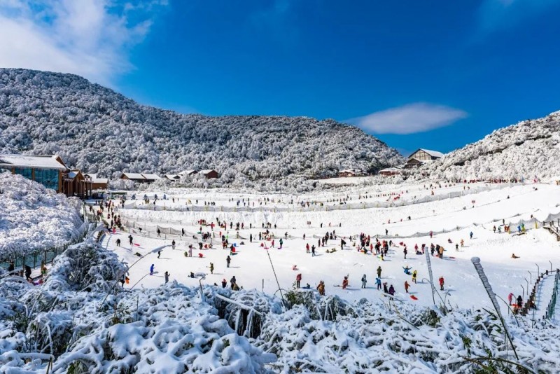 《跟着主播游重庆》喜逢南川金佛山初雪盛景