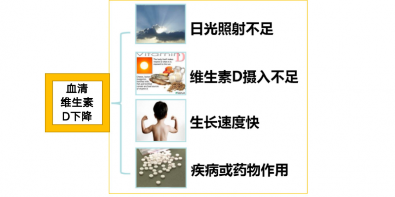 儿童群体为何普遍缺乏维生素D？维生素D2软胶囊守护健康成长