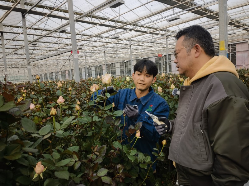 涂磊公益行走进临夏 网络直播打卡文旅地标