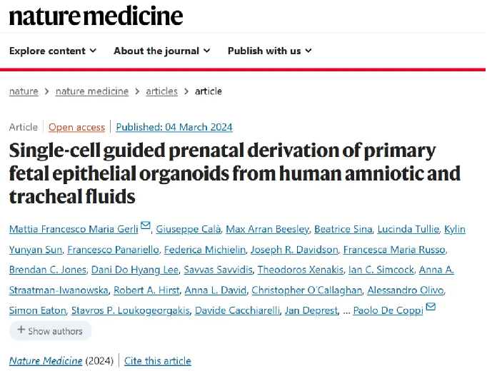 华夏源类器官：首次用羊水细胞衍生类器官！《Nature Medicine》：打开孕晚期发育研究思路