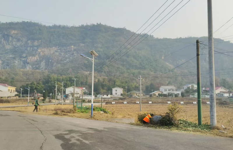 打造乡村宜居环境，共筑美好幸福家园