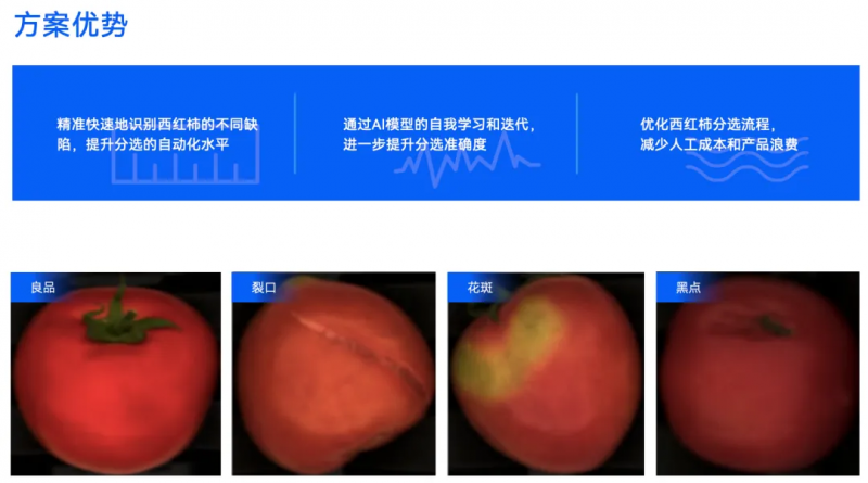 阿丘科技农产品西红柿分选：分选精度达到95%以上