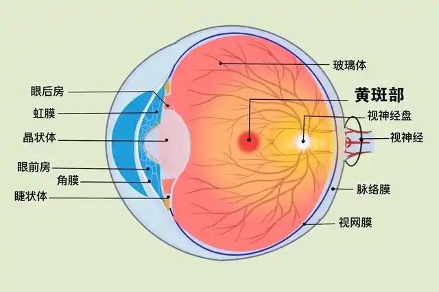 爱欣瞳叶黄素口服液给孩子喝保护眼睛视力健康