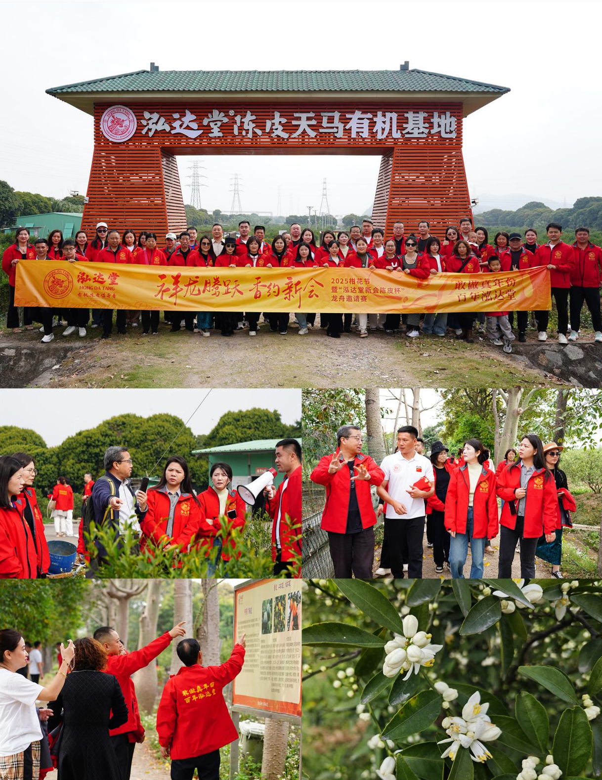 【聚焦】柑花飘香泓达堂 龙舟竞翔“龙抬头”