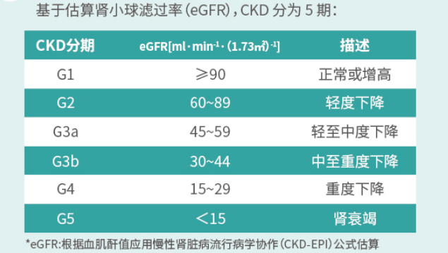 世界肾脏日丨三高人群需特别关注肾功能，国产创新居家肌酐检测助力肾脏健康管理