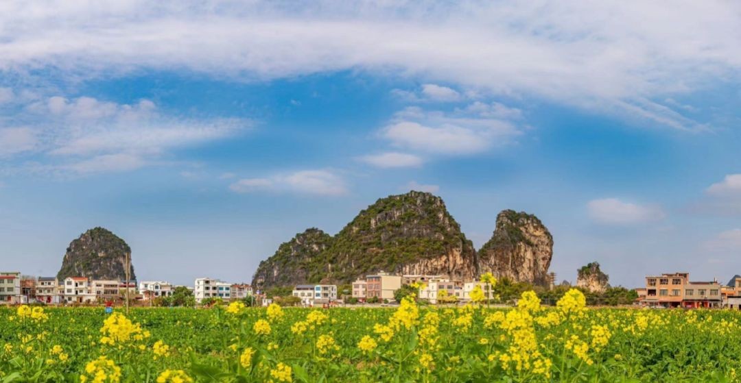 喜讯广西贵港市港南区新塘镇山边村入选全国乡村治理示范村