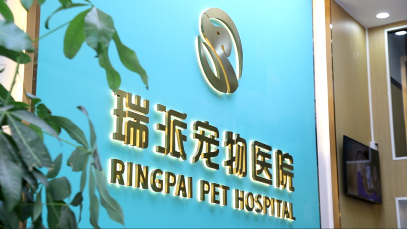 瑞派宠物医院与Pets Central Hong Kong正式签署战略合作协议