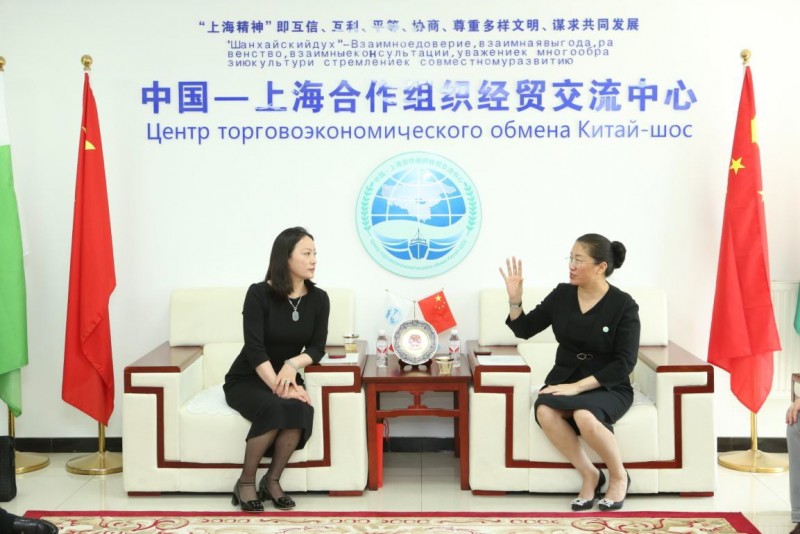 中国上海合作组织经贸交流中心 上海新经济发展委员会在上海设立