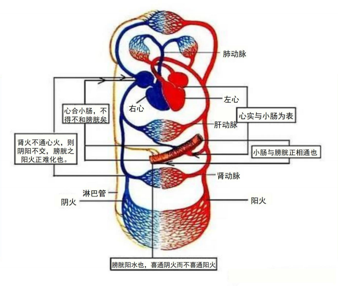 王虎：和你爱的人一起睡个好觉