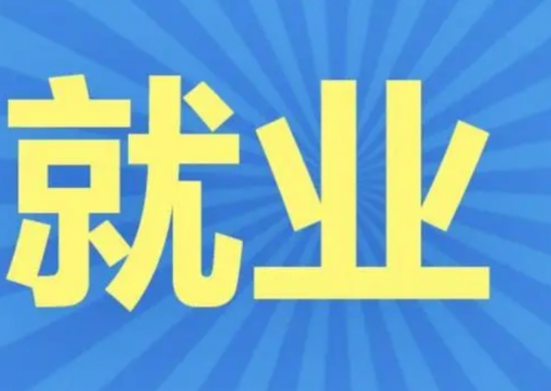 “金九银十"求职季来袭  菜鸟无忧袁军带你解锁职场新篇章